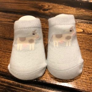 Country Kids Moo Cow Organic Cotton Socks 0-3M